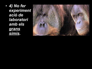 4) No fer experimentació de laboratori amb els  grans simis . 