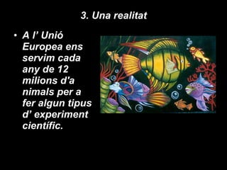 3. Una realitat A l’ Unió Europea ens servim cada any de 12 milions d'a nimals per a fer algun tipus d’ experiment científic. 