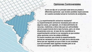 Opiniones Controversiales
Como se dijo en un principio este tema se presta a
diferentes opiniones que revelan posibles repercusiones
en nuestra sociedad actual al momento de analizarlas.
1) ¿La experimentación animal es necesaria?
La experimentación animal es necesaria pero solo en
algunos casos, por ejemplo, en el descubrimiento de
vacunas, medicinas y otros más que son primordiales
para la supervivencia de la raza humana, pero, en otras
situaciones como es el caso de los cosméticos la
experimentación animal no es necesaria ya que existen
otras opciones como las pieles sintéticas.
Es bueno recalcar que cuando la experimentación
animal es necesaria como en el caso de la ciencia esta
tiene que ser regulada ya que si bien no se considera
que los animales sean agentes morales pero si se
considera que son pacientes morales.
 