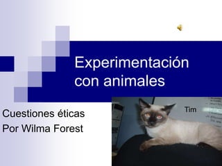Experimentación con animales Tim Cuestiones éticas Por WilmaForest 