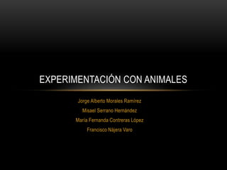 Jorge Alberto Morales Ramírez
Misael Serrano Hernández
María Fernanda Contreras López
Francisco Nájera Varo
EXPERIMENTACIÓN CON ANIMALES
 