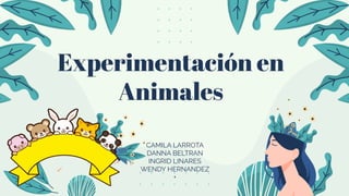 Experimentación en
Animales
CAMILA LARROTA
DANNA BELTRAN
INGRID LINARES
WENDY HERNANDEZ
+
 
