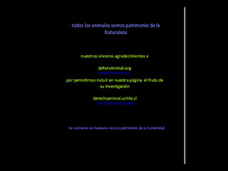 DERECHO ANIMAL