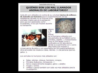 www.defensAnimal.orgwww.derechoanimal.uchle.cl