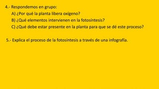 4.- Respondemos en grupo:
A) ¿Por qué la planta libera oxígeno?
B) ¿Qué elementos intervienen en la fotosíntesis?
C) ¿Qué debe estar presente en la planta para que se dé este proceso?
5.- Explica el proceso de la fotosíntesis a través de una infografía.
 