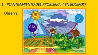 1.- PLANTEAMIENTO DEL PROBLEMA: ( EN EQUIPOS)
Observa:
 