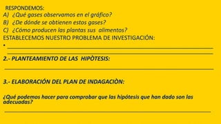 RESPONDEMOS:
A) ¿Qué gases observamos en el gráfico?
B) ¿De dónde se obtienen estos gases?
C) ¿Cómo producen las plantas sus alimentos?
ESTABLECEMOS NUESTRO PROBLEMA DE INVESTIGACIÓN:
• ________________________________________________________________
________________________________________________________________
2.- PLANTEAMIENTO DE LAS HIPÒTESIS:
_________________________________________________________________
3.- ELABORACIÓN DEL PLAN DE INDAGACIÒN:
¿Qué podemos hacer para comprobar que las hipótesis que han dado son las
adecuadas?
_____________________________________________________________________
 