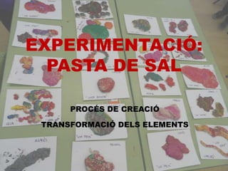 EXPERIMENTACIÓ:
PASTA DE SAL
PROCÉS DE CREACIÓ
TRANSFORMACIÓ DELS ELEMENTS

 