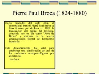 Pierre Paul Broca (1824-1880)
Hacia mediados del siglo XIX, el
antropólogo francés Pierre Paul Broca se
hizo famoso por declarar en 1861 la
localización del centro del lenguaje,
conocido hoy en día como "Área de
Broca" y ubicado en la tercera
circunvolución frontal del hemisferio
izquierdo.
Este descubrimiento fue vital para
establecer una clasificación de uno de
los síndromes neuropsicológicos por
excelencia:
la afasia.
 