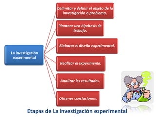 Delimitar y definir el objeto de la
                       investigación o problema.


                     Plantear una hipótesis de
                             trabajo.


                     Elaborar el diseño experimental.
La investigación
 experimental
                      Realizar el experimento.



                      Analizar los resultados.



                     Obtener conclusiones.


         Etapas de La investigación experimental
 