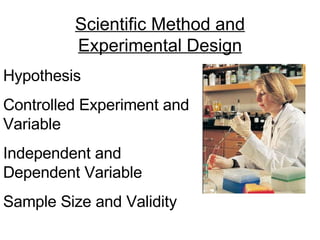 Hypothesis Controlled Experiment and Variable Independent and Dependent Variable Sample Size and Validity Scientific Method and Experimental Design 