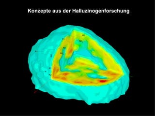 Konzepte aus der Halluzinogenforschung 
