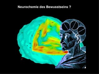 Neurochemie des Bewusstseins ? 
