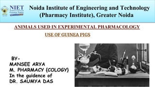 Noida Institute of Engineering and Technology
(Pharmacy Institute), Greater Noida
BY-
MANSEE ARYA
M. PHARMACY {COLOGY}
In the guidence of
DR. SAUMYA DAS
ANIMALS USED IN EXPERIMENTAL PHARMACOLOGY
USE OF GUINEA PIGS
 
