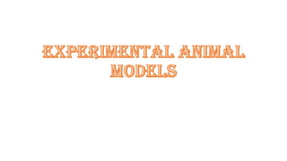 Experimental animal models