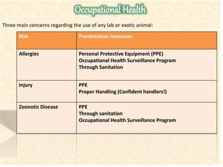 Three main concerns regarding the use of any lab or exotic animal:
Risk Preventation measures
Allergies Personal Protective Equipment (PPE)
Occupational Health Surveillance Program
Through Sanitation
Injury PPE
Proper Handling (Confident handlers!)
Zoonotic Disease PPE
Through sanitation
Occupational Health Surveillance Program
 
