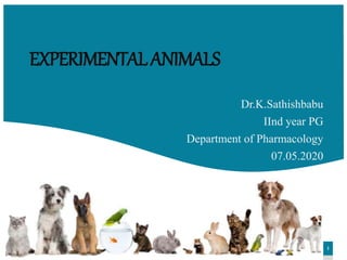 1
Dr.K.Sathishbabu
IInd year PG
Department of Pharmacology
07.05.2020
EXPERIMENTALANIMALS
 