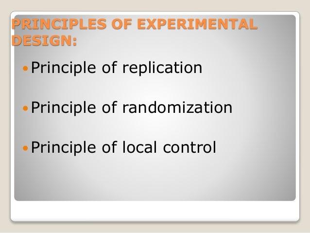 Image Result For Principle Definitiona Image Result For Principle Definitiona