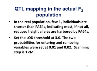 QTL mapping in the actual F2
       population
 