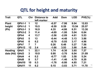 Trait    QTL       Chr Distance to    Add    Dom     LOD     PVE(%)
                       left marker
Plant     QPh1-1   1   12            -0.57   -7.98   8.04    12.03
height    QPh1-2   1   19.5          -8.59   0.59    15.54   25.57
(Ph)      QPh3-1   3   16.9          4.35    -4.86   6.51    13.30
          QPh3-2   3   11.4          -4.69   -1.00   5.04    6.84
          QPh4     4   13.7          -3.56   -2.09   4.61    5.53
          QPh5     5   13            -0.44   -4.48   3.13    3.86
          QPh6     6   6.2           -0.79   -5.05   3.17    4.96
          QPh7     7   7             0.26    6.48    5.27    7.56
          QPh12    12 2.4            -1.66   3.93    3.98    5.44
Heading QHd1       1   22.1          1.74    -0.30   3.65    7.27
date (Hd) QHd3     3   19.9          0.88    -3.70   6.04    21.09
          QHd4     4   0.2           -0.77   1.85    3.58    5.24
          QHd8     8   5.7           -1.41   -1.46   4.79    8.20
          QHd10    10 0.3            -1.78   -0.80   4.85    7.21
          QHd11    11 6.2            0.15    -3.03   5.71    11.70
 