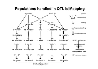 Populations handled in QTL IciMapping
                 Parent P1                        Parent P2                                Legends

                                                                                       Hybridization
                                     F1

                                                                                             Selfing
                1. P1BC1F1          7. F2       2. P2BC1F1

                                                                                   Repeated selfing
9. P1BC2F1      13. P1BC1F2         8. F3       14. P2BC1F2      10. P2BC2F1

                                                                                   Doubled haploids
15. P1BC2F2                                                      16. P2BC2F2


11. P1BC2RIL    5. P1BC1RIL       4. F1RIL      6. P2BC1RIL      12. P2BC2RIL    BC3F1, BC4F1 etc.

  P1BC2F1        P1BC1F1             F1           P2BC1F1          P2BC2F1        Marker-assisted
                                                                                     selection

19. P1BC2DH     17. P1BC1DH       3. F1DH       18. P2BC1DH      20. P2BC2DH         CSS lines or
                                                                                 Introgression lines

  P1 × CP         P2 × CP         P3 × CP                          Pn × CP       CP=common parent


 RIL family 1   RIL family 2     RIL family 3     RIL family i    RIL family n

                             One NAM population
 