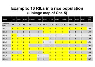 Example: 10 RILs in a rice population
                                 (Linkage map of Chr. 5)
                                                                                                           Grain
Marker     C263   R830   R3166    XNpb387   R569   R1553   C128   C1402   XNpb81   C246   R2953   C1447    width
                                                                                                           (mm)

Position
           0.0    3.5    8.5      19.5      32.0   66.6    74.1   78.6    81.8     91.9   92.7    96.8
(cM)
RIL1       0      0      0        0         0      0       0      0       0        0      0       0        2.33
RIL2       2      2      2        2         2      0       0      0       0        2      2       2        1.99
RIL3       0      2      2        2         2      2       2      2       2        2      2       2        2.24
RIL4       0      0      0        0         0      0       2      2       2        2      2       2        1.94
RIL5       0      0      0        0         0      2       2      0       0        0      0       0        2.76
RIL6       0      0      0        2         2      2       2      2       2        2      2       2        2.32
RIL7       0      0      0        0         0      0       0      0       0        0      0       0        2.32
RIL8       2      2      0        2         2      0       0      0       0        2      2       2        2.08
RIL9       0      0      0        0         2      2       0      0       0        0      0       0        2.24
                                                                                                          17

RIL10      0      0      0        0         2      2       0      0       0        0      0       0        2.45
 