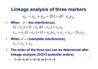Linkage analysis of three markers
         r13     r12     r23     21        r12 r23
When           0 interference),
               (no
 (1 r13 ) (1 r12 )(1 r23 ) r12 r23
 r13 r12 (1 r23 ) (1 r12 ) r23 r12          r23      2r12 r23
When          1 (complete interference),
 r13    r12    r23
The order of the three loci can be determined after
linkage analysis (3!/2=3 potential orders)
                                                                39
  1 2    3, or 1 3     2, or 2   1 3
 