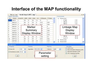 Interface of the MAP functionality
 