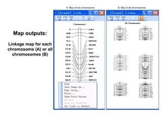 A. Map of one chromosome   B. Map of all chromosomes




  Map outputs:
Linkage map for each
chromosome (A) or all
  chromosomes (B)
 