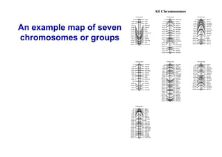 An example map of seven
chromosomes or groups




                          48
 
