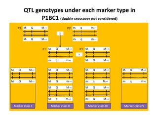 P1: Mi       Q   Mi +1             P2: mi      q        mi +1



         Mi       Q   Mi +1                    mi   q        mi +1


                       F1: Mi      Q   Mi +1        P1: Mi    Q      Mi +1



                              mi   q   mi +1            Mi    Q      Mi +1


Mi   Q        Mi +1           Mi   Q   Mi +1            Mi    Q      Mi +1   Mi   Q   Mi +1



Mi   Q        Mi +1           Mi   Q   mi +1            mi    q      Mi +1   mi   q       mi +1

                              Mi   Q   Mi +1            Mi    Q      Mi +1



                              Mi   q   mi +1            mi    Q      Mi +1

              1                                                                       4
 