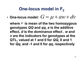 One-locus model in F2
One-locus model:   G         aw dv
where is mean of the two homozygous
genotypes QQ and qq, a is the additive
effect, d is the dominance effect . w and
v are the indicators for genotypes at the
QTL, valued at 1 and 0 for QQ, 0 and 1
for Qq, and -1 and 0 for qq, respectively
 