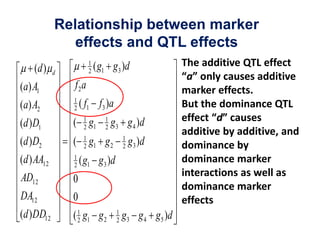 Relationship between marker
               effects and QTL effects
                       1
    (d )    d          2
                           ( g1 g3 )d
(a) A1          f2a
                1
(a) A2          2   ( f1 f 3 )a
                     1        1
(d ) D1         (      g
                     2 1      2
                                  g3 g 4 )d
                     1                 1
(d ) D2         (      g g2
                     2 1               2   g 3 )d
(d ) AA12       1
                2   ( g1 g 3 )d
AD12            0
DA12            0
(d ) DD12       ( 1 g1 g 2
                  2
                                   1
                                   2
                                       g 3 g 4 g 5 )d
 