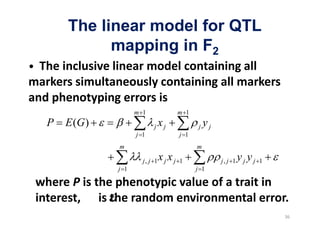 The linear model for QTL
          mapping in F2


                   m 1               m 1
P   E (G )               j    xj            j   yj
                   j 1               j 1
             m                             m

                     j, j 1   xjxj   1               j, j 1   yj yj   1
             j 1                           j 1
 
