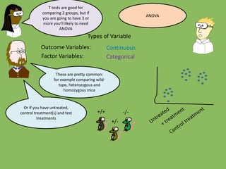 Outcome Variables:
Factor Variables:
Types of Variable
Categorical
Continuous
T tests are good for
comparing 2 groups, but if
you are going to have 3 or
more you’ll likely to need
ANOVA
These are pretty common:
for example comparing wild-
type, heterozygous and
homozygous mice
-/-
+/-
+/+
Or if you have untreated,
control treatment(s) and test
treatments
ANOVA
 