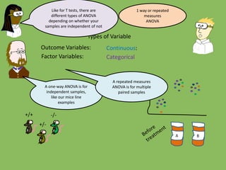 Outcome Variables:
Factor Variables:
Types of Variable
Categorical
Continuous:
Like for T tests, there are
different types of ANOVA
depending on whether your
samples are independent of not
A one-way ANOVA is for
independent samples,
like our mice line
examples
-/-
+/-
+/+
A B
A repeated measures
ANOVA is for multiple
paired samples
1 way or repeated
measures
ANOVA
 