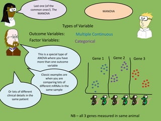 Outcome Variables:
Factor Variables:
Types of Variable
Multiple Continuous
Last one (of the
common ones!). The
MANOVA
Categorical
This is a special type of
ANOVA where you have
more than one outcome
variable
Classic examples are
when you are
comparing lots of
different mRNAs in the
same sample
Or lots of different
clinical details in the
same patient
Gene 1 Gene 2 Gene 3
NB – all 3 genes measured in same animal
MANOVA
 