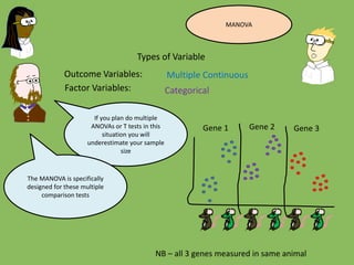 Outcome Variables:
Factor Variables:
Types of Variable
Multiple Continuous
Categorical
If you plan do multiple
ANOVAs or T tests in this
situation you will
underestimate your sample
size
The MANOVA is specifically
designed for these multiple
comparison tests
NB – all 3 genes measured in same animal
Gene 1 Gene 2 Gene 3
MANOVA
 