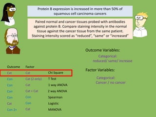 Chi Square
T Test
1 way ANOVA
Spearman
Logistic
MANOVA
Outcome Factor
Cat Cat
Cat (2 only)
Cat
Cat
Cat
Con
Con
2 way ANOVACon
Con Con
Con
Con 2+
Protein B expression is increased in more than 50% of
squamous cell carcinoma cancers
Paired normal and cancer tissues probed with antibodies
against protein B. Compare staining intensity in the normal
tissue against the cancer tissue from the same patient.
Staining intensity scored as “reduced”, “same” or “increased”
Outcome Variables:
Factor Variables:
Categorical:
reduced/ same/ increase
Categorical:
Cancer / no cancer
Cat + Cat
 