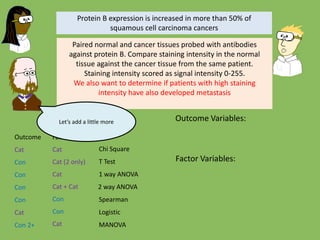 Chi Square
T Test
1 way ANOVA
Spearman
Logistic
MANOVA
Outcome Factor
Cat Cat
Cat (2 only)
Cat
Cat
Cat
Con
Con
2 way ANOVACon
Con Con
Con
Con 2+
Protein B expression is increased in more than 50% of
squamous cell carcinoma cancers
Paired normal and cancer tissues probed with antibodies
against protein B. Compare staining intensity in the normal
tissue against the cancer tissue from the same patient.
Staining intensity scored as signal intensity 0-255.
We also want to determine if patients with high staining
intensity have also developed metastasis
Outcome Variables:
Factor Variables:
Let’s add a little more
Cat + Cat
 