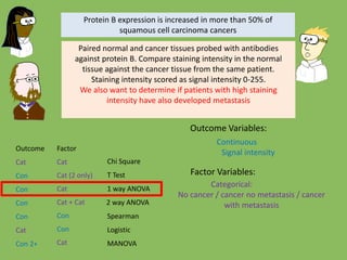 Chi Square
T Test
1 way ANOVA
Spearman
Logistic
MANOVA
Outcome Factor
Cat Cat
Cat (2 only)
Cat
Cat
Cat
Con
Con
2 way ANOVACon
Con Con
Con
Con 2+
Protein B expression is increased in more than 50% of
squamous cell carcinoma cancers
Outcome Variables:
Factor Variables:
Continuous
Signal intensity
Categorical:
No cancer / cancer no metastasis / cancer
with metastasisCat + Cat
Paired normal and cancer tissues probed with antibodies
against protein B. Compare staining intensity in the normal
tissue against the cancer tissue from the same patient.
Staining intensity scored as signal intensity 0-255.
We also want to determine if patients with high staining
intensity have also developed metastasis
 