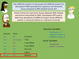 Chi Square
T Test
1 way ANOVA
Spearman
Logistic
MANOVA
Outcome Factor
Cat Cat
Cat (2 only)
Cat
Cat
Cat
Con
Con
2 way ANOVACatCon
Con Con
Con
Con 2+
The mRNA for protein A is decreased and mRNA for protein B is
decreased In RNA extracted from squamous cell carcinoma
tissue compared to RNA isolated normal skin
Paired normal skin and cancer tissues obtained, RNA isolated
and reverse transcribed to cDNA. Quantitative PCR used to
determine abundance of mRNA for protein B and mRNA for
protein A, measured relative to a reference transcript
Outcome Variables:
Factor Variables:
Continuous x 2
mRNA for Protein A
mRNA for Protein B
Categorical:
Cancer / no cancer
 
