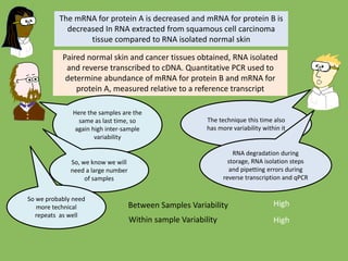 The mRNA for protein A is decreased and mRNA for protein B is
decreased In RNA extracted from squamous cell carcinoma
tissue compared to RNA isolated normal skin
Paired normal skin and cancer tissues obtained, RNA isolated
and reverse transcribed to cDNA. Quantitative PCR used to
determine abundance of mRNA for protein B and mRNA for
protein A, measured relative to a reference transcript
Here the samples are the
same as last time, so
again high inter-sample
variability
The technique this time also
has more variability within it
RNA degradation during
storage, RNA isolation steps
and pipetting errors during
reverse transcription and qPCR
So, we know we will
need a large number
of samples
Between Samples Variability
Within sample Variability
High
High
So we probably need
more technical
repeats as well
 