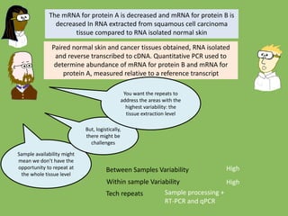 The mRNA for protein A is decreased and mRNA for protein B is
decreased In RNA extracted from squamous cell carcinoma
tissue compared to RNA isolated normal skin
Paired normal skin and cancer tissues obtained, RNA isolated
and reverse transcribed to cDNA. Quantitative PCR used to
determine abundance of mRNA for protein B and mRNA for
protein A, measured relative to a reference transcript
Between Samples Variability
Within sample Variability
High
Sample availability might
mean we don’t have the
opportunity to repeat at
the whole tissue level
High
But, logistically,
there might be
challenges
You want the repeats to
address the areas with the
highest variability: the
tissue extraction level
Tech repeats Sample processing +
RT-PCR and qPCR
 
