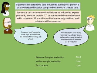 Between Samples Variability
Within sample Variability
Tech repeats
Squamous cell carcinoma cells induced to overexpress protein B
display increased invasion compared with control treated cells.
Squamous cell carcinoma cells will either be induced to express
protein B, a control protein “C”, or not treated then seeded onto
a skin substitute. After 48 hours the distance migrated into each
substrate will be measured
The assay itself should be
quite tight. You will have
the option of measuring lots
of cells
Med
Probably don’t need many
technical repeats per assay,
rather doing more biological
repeats would be a better
use of resources
Low
Low
 