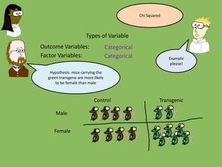 Outcome Variables:
Factor Variables:
Types of Variable
Categorical
Categorical
Hypothesis: mice carrying the
green transgene are more likely
to be female than male
Male
Female
Control Transgenic
Example
please!
Chi Squared
 