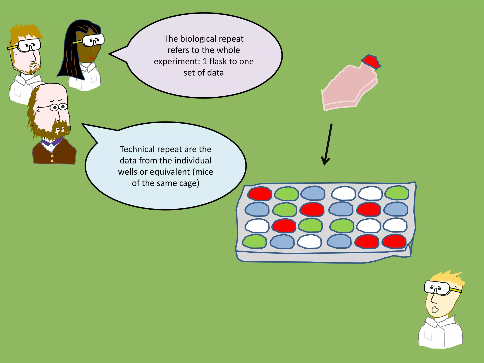 The biological repeat
refers to the whole
experiment: 1 flask to one
set of data
Technical repeat are the
data from the individual
wells or equivalent (mice
of the same cage)
 