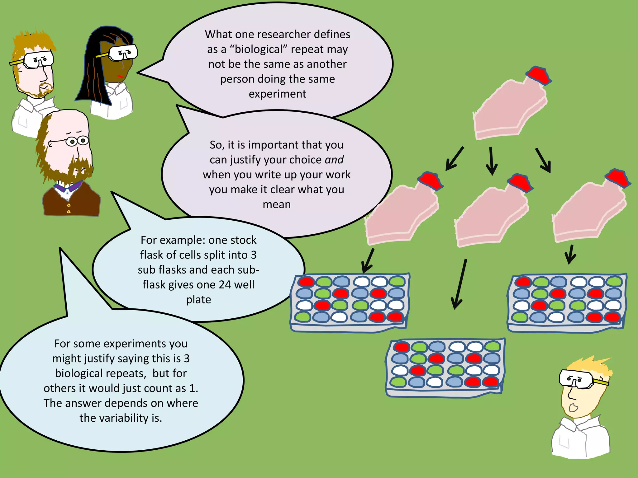 What one researcher defines
as a “biological” repeat may
not be the same as another
person doing the same
experiment
So, it is important that you
can justify your choice and
when you write up your work
you make it clear what you
mean
For example: one stock
flask of cells split into 3
sub flasks and each sub-
flask gives one 24 well
plate
For some experiments you
might justify saying this is 3
biological repeats, but for
others it would just count as 1.
The answer depends on where
the variability is.
 