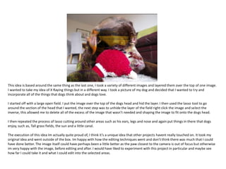 This idea is based around the same thing as the last one, I took a variety of different images and layered them over the top of one image.
I wanted to take my idea of X Raying things but in a different way. I took a picture of my dog and decided that I wanted to try and
incorporate all of the things that dogs think about and dogs love.
I started off with a large open field. I put the image over the top of the dogs head and hid the layer. I then used the lasso tool to go
around the section of the head that I wanted, the next step was to unhide the layer of the field right click the image and select the
inverse, this allowed me to delete all of the excess of the image that wasn’t needed and shaping the image to fit onto the dogs head.
I then repeated the process of lasso cutting around other areas such as his ears, legs and nose and again put things in there that dogs
enjoy, such as, Tall grass fields, the sun and a little canal.
The execution of this idea Im actually quite proud of, I think it’s a unique idea that other projects havent really touched on. It took my
original idea and went outside of the box. Im happy with how the editing techniques went and don’t think there was much that I could
have done better. The image itself could have perhaps been a little better as the paw closest to the camera is out of focus but otherwise
im very happy with the image, before editing and after. I would have liked to experiment with this project in particular and maybe see
how far I could take it and what I could edit into the selected areas.

 