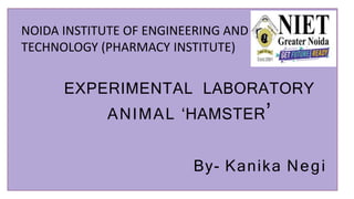 EXPERIMENTAL LABORATORY
ANIMAL ‘HAMSTER’
By- Kanika Negi
NOIDA INSTITUTE OF ENGINEERING AND
TECHNOLOGY (PHARMACY INSTITUTE)
 